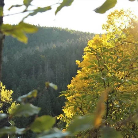 Górski Kuźnice Zakopane